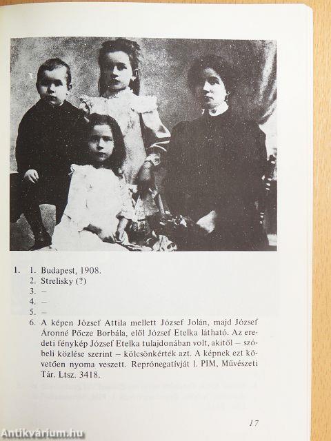 József Attila - Négyszemközt az utókorral
