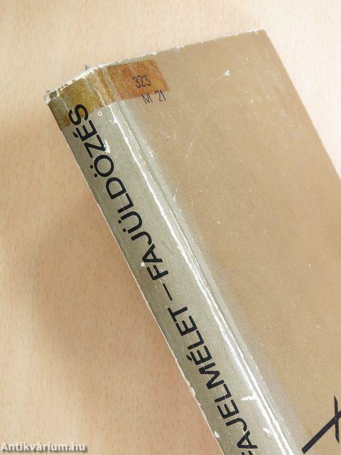 Fajelmélet-fajüldözés