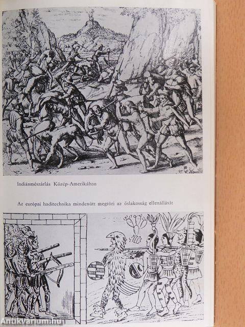 Fajelmélet-fajüldözés