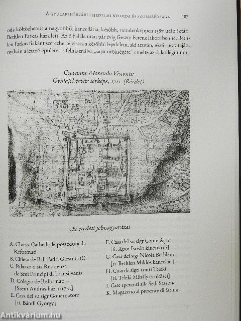 Testimonio litterarum