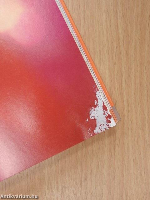 Kismamajóga - DVD-vel