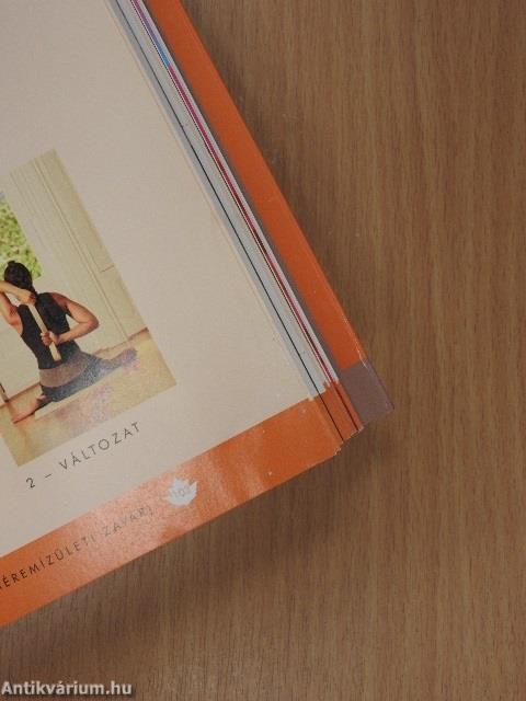 Kismamajóga - DVD-vel