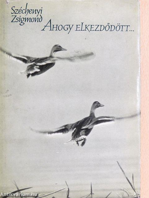 Ahogy elkezdődött...