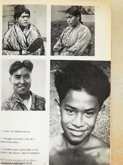 A Kon-Tikitől a Raig