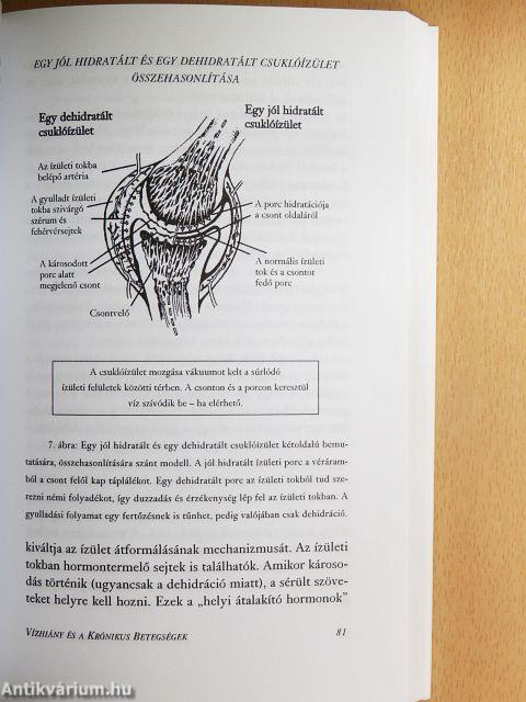 A tested vízért kiált!