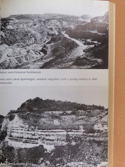 Az első ötvenmillió év