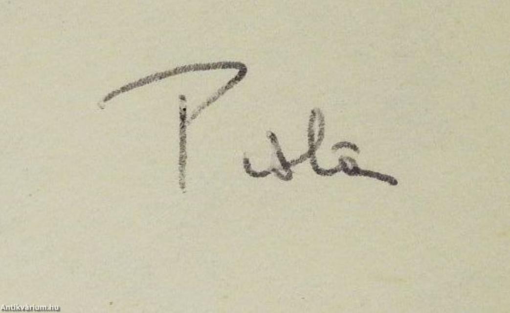 A magyar irodalmi népiesség az 1850-es években és a délszláv népköltészet (dedikált példány)