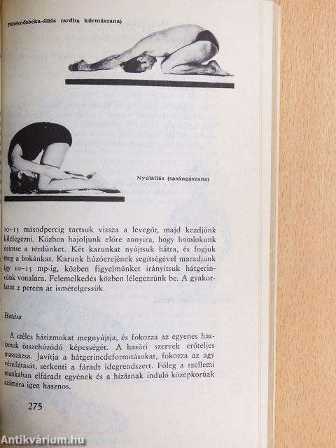 Jóga