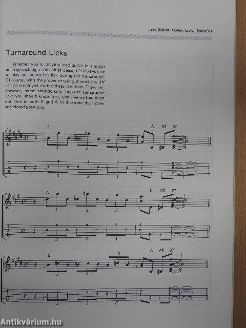 Beginning Blues Guitar