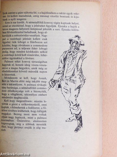 Robinson utolsó kalandja