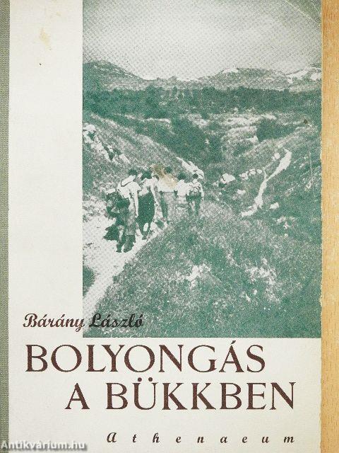 Bolyongás a Bükkben