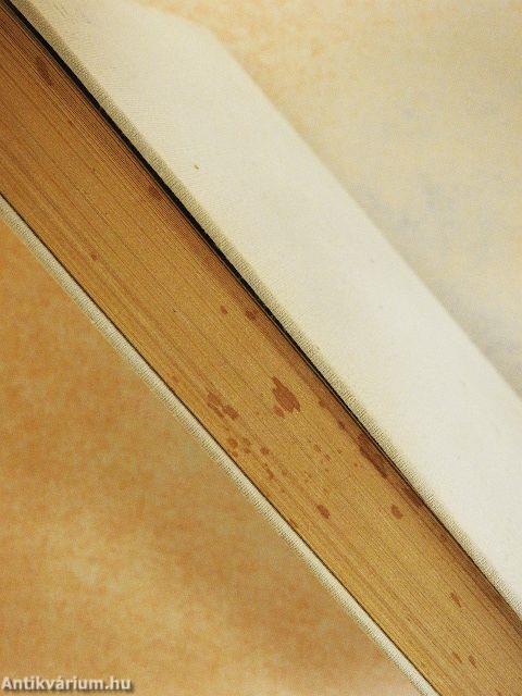 Beszterce ostroma/Új Zrínyiász