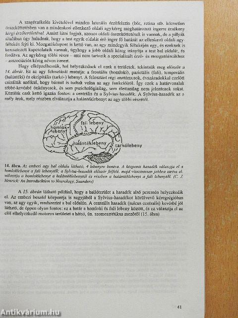 Általános lélektan szöveggyűjtemény