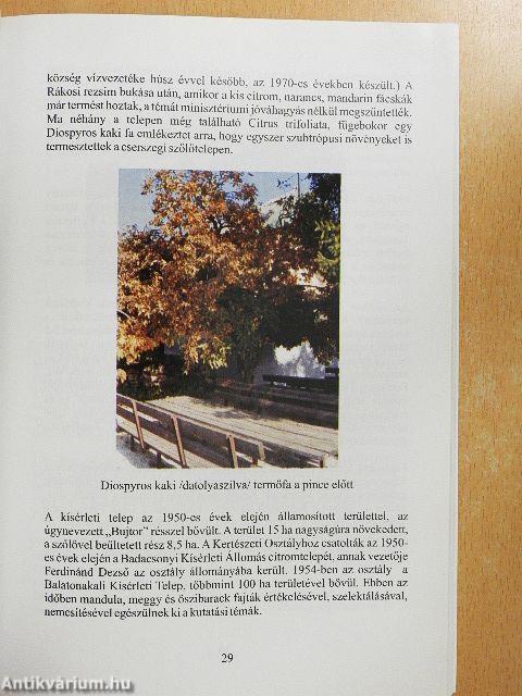 Pannon Egyetem Georgikon Mezőgazdaságtudományi Kar Cserszegtomaji Szőlőtelepének története