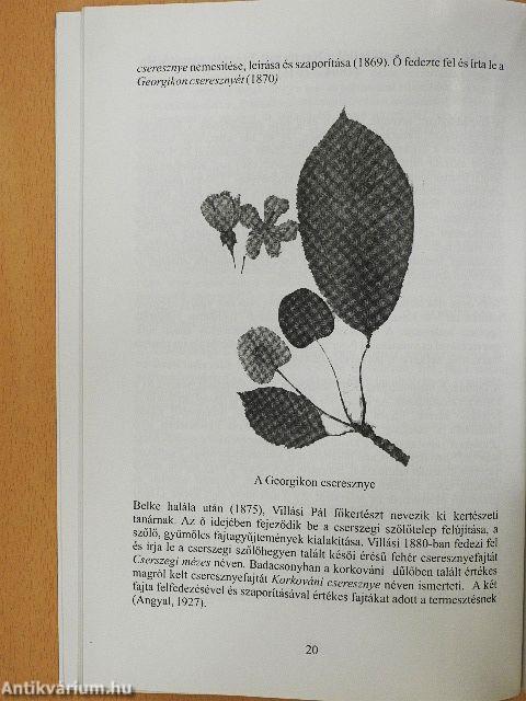 Pannon Egyetem Georgikon Mezőgazdaságtudományi Kar Cserszegtomaji Szőlőtelepének története