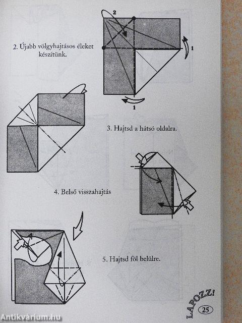 Origami 6.