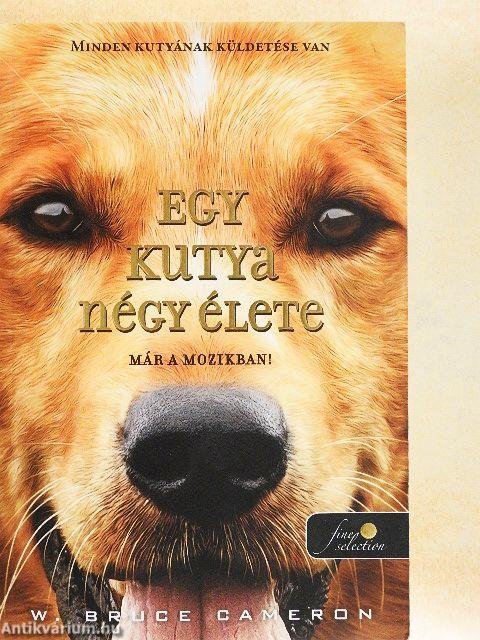 Egy kutya négy élete