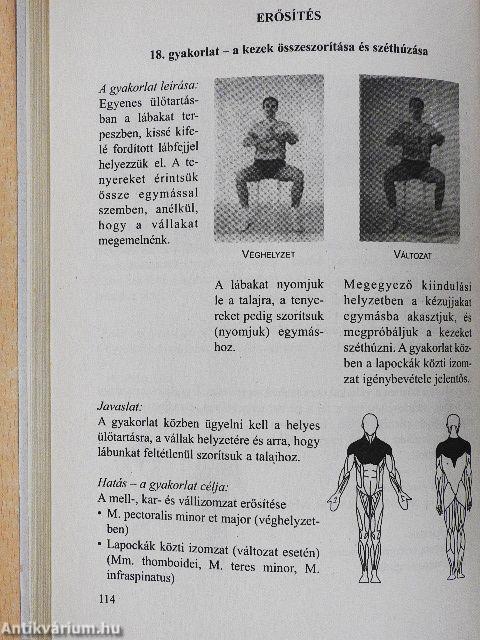 Nincs többé hátfájás