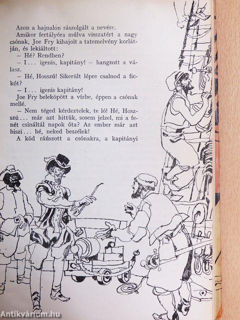 Az indián királyfi