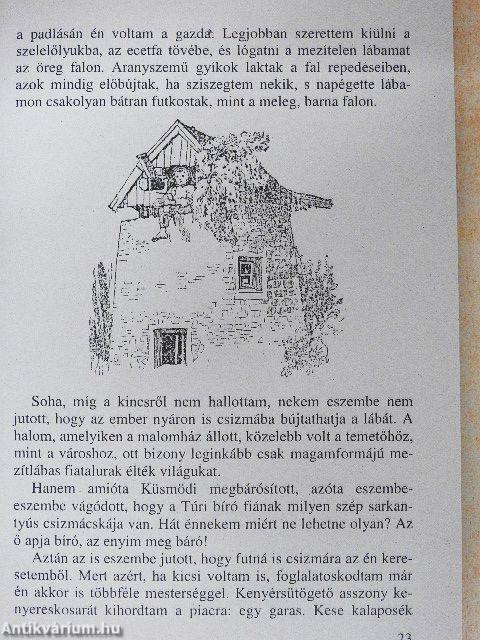 Kincskereső kisködmön