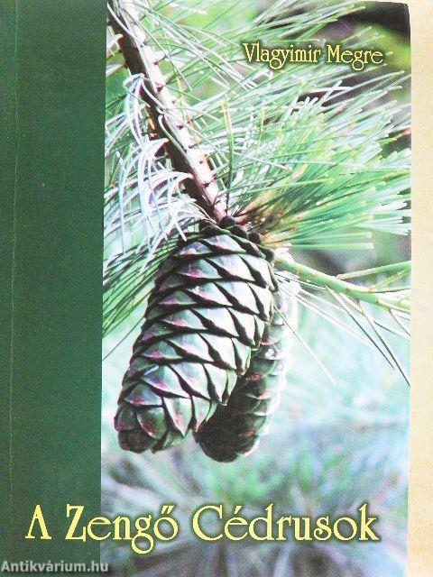 A Zengő Cédrusok