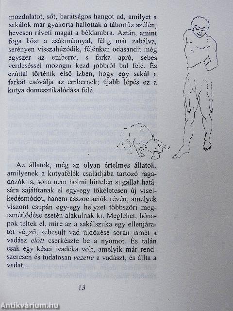 Ember és kutya