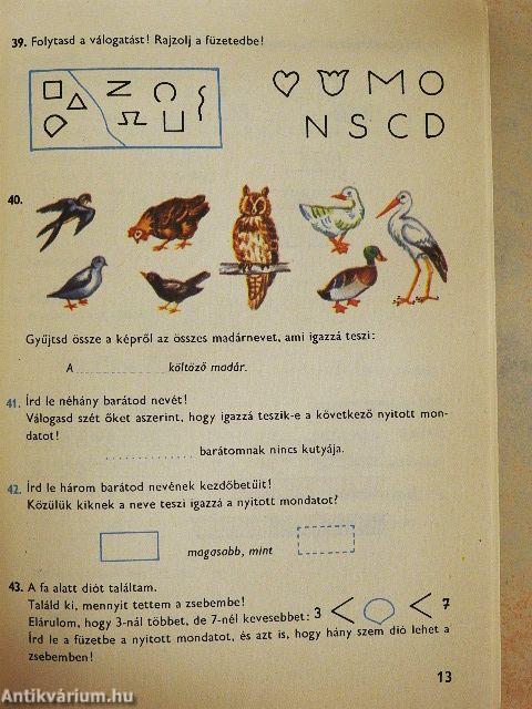 Matematika - feladatgyűjtemény 2.