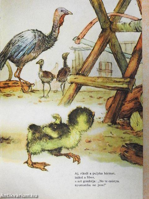 Az elveszett kisliba