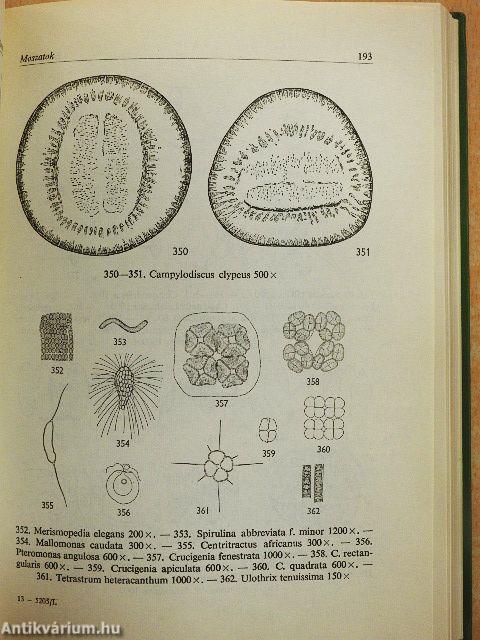 Növényhatározó I.