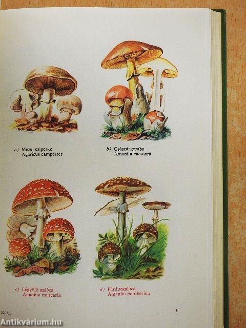 Növényhatározó I.