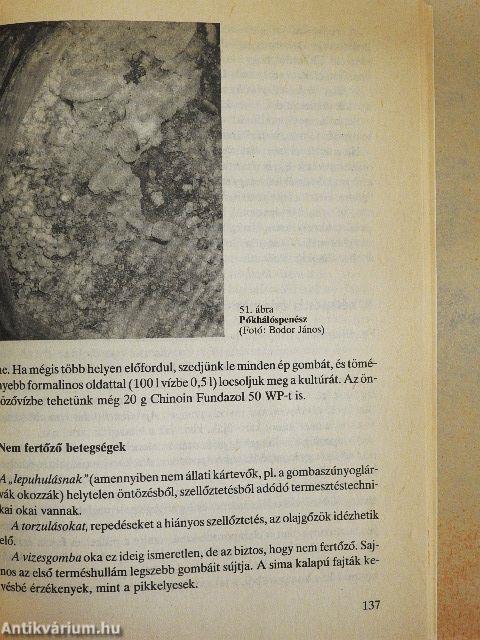 A csiperke és más gombák háztáji termesztése