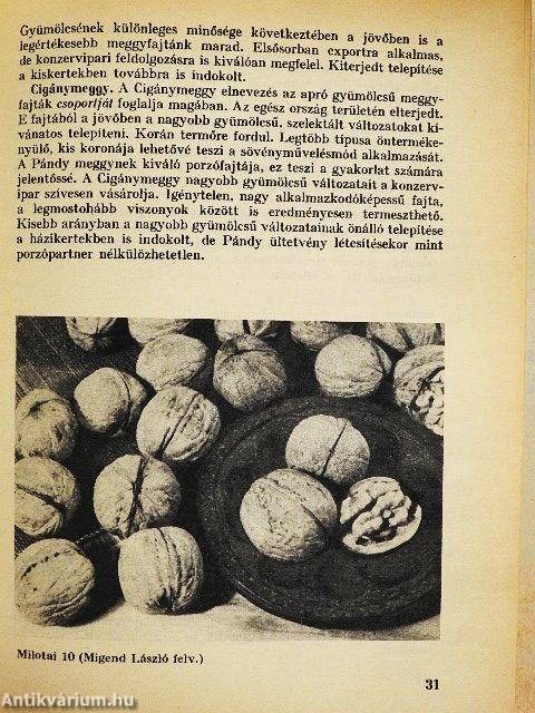 12 hónap kerti munkái