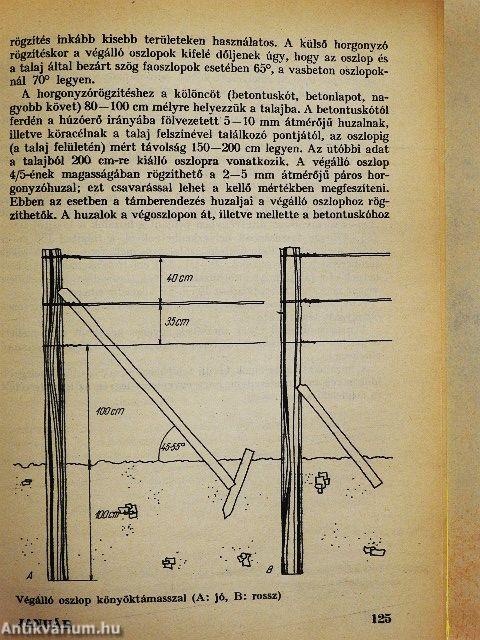 12 hónap kerti munkái