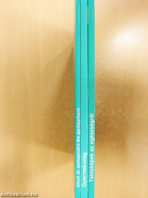 Egészség–közösség–misszió I-III.