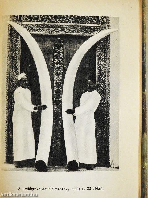 Híres vadászkalandok