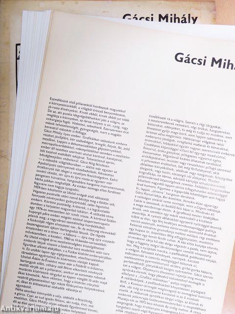 Gácsi Mihály