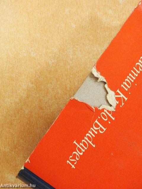 Formateremtő elvek a költői alkotásban