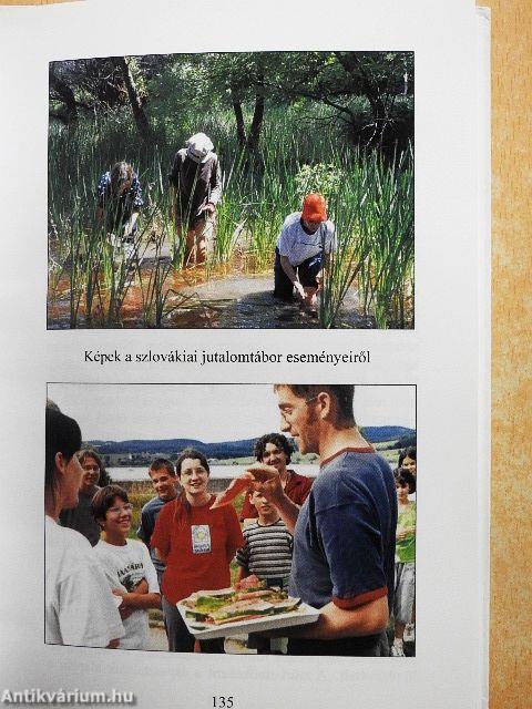 Környezet és tehetséggondozás