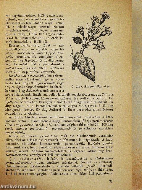 Permetezés, porozás