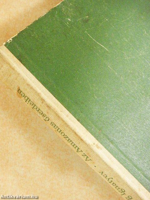 Az Amazonas őserdeiben