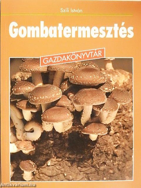 Gombatermesztés