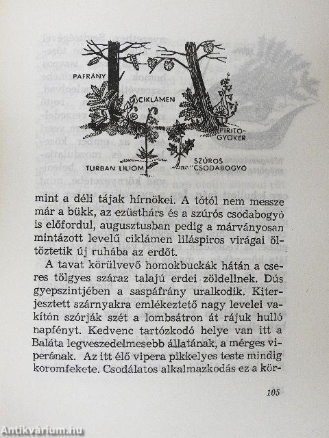 Amiről a lápok mesélnek