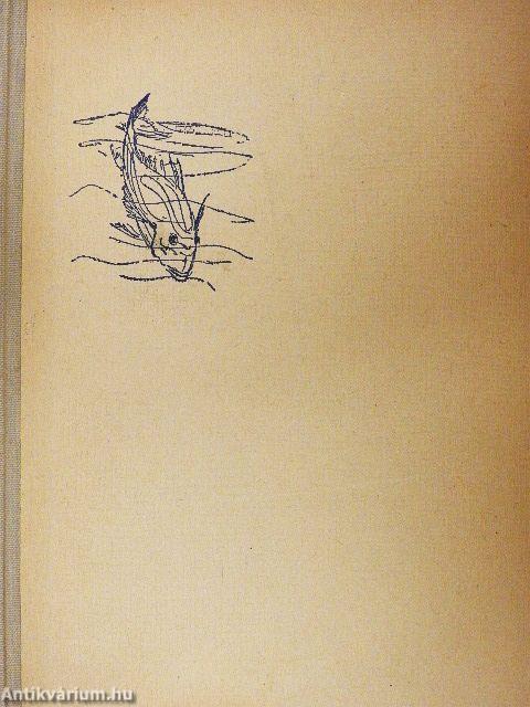 Az öreg halász és a tenger