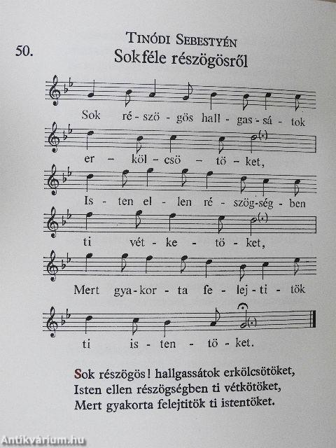 Hatvanhat csúfos gajd