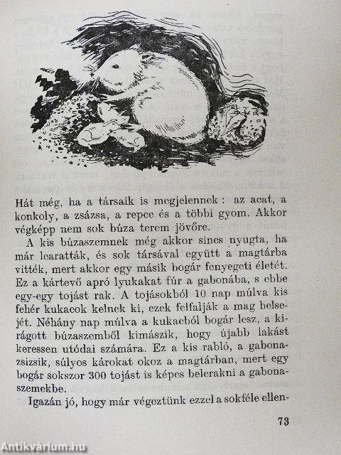 A kenyér története