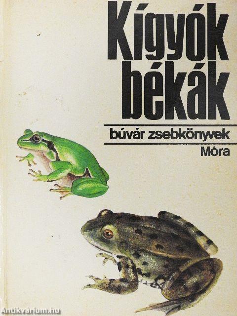Kígyók, békák