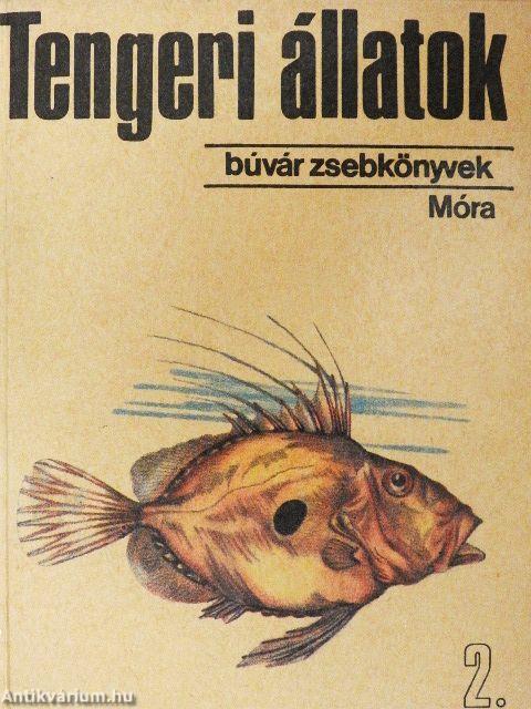 Tengeri állatok 2.