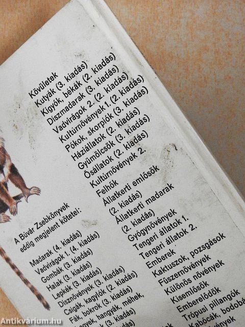 Állatkerti emlősök