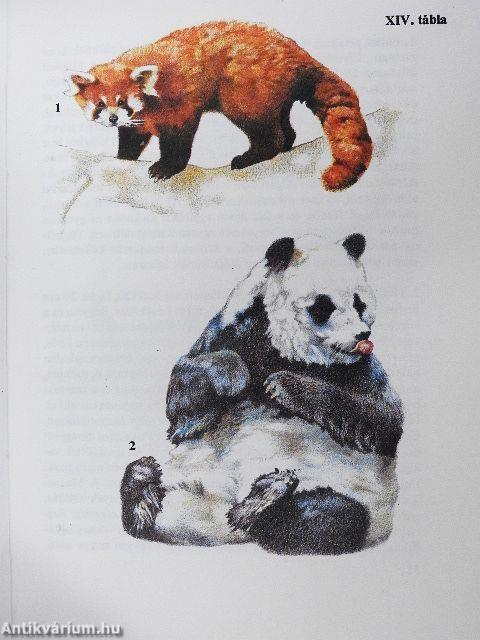 Állatkerti emlősök