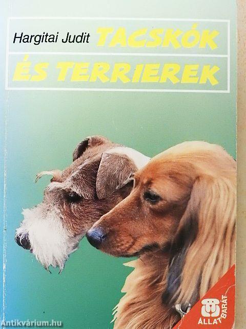 Tacskók és terrierek